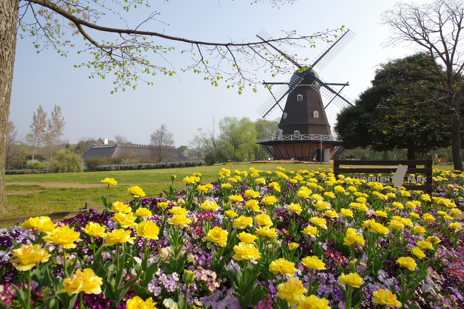 Strong ふなばしアンデルセン公園 Strong 東葛毎日新聞社